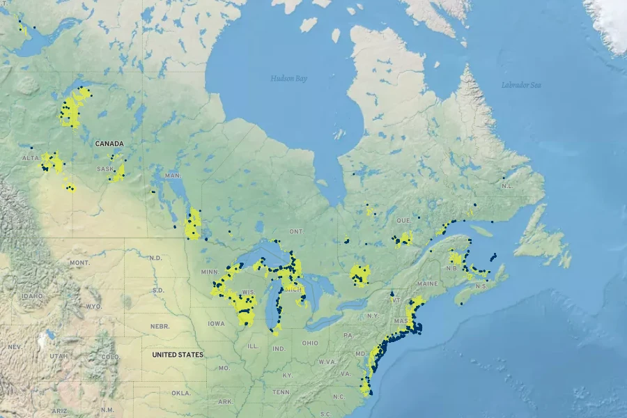 Hudsonia tomentosa Native Range