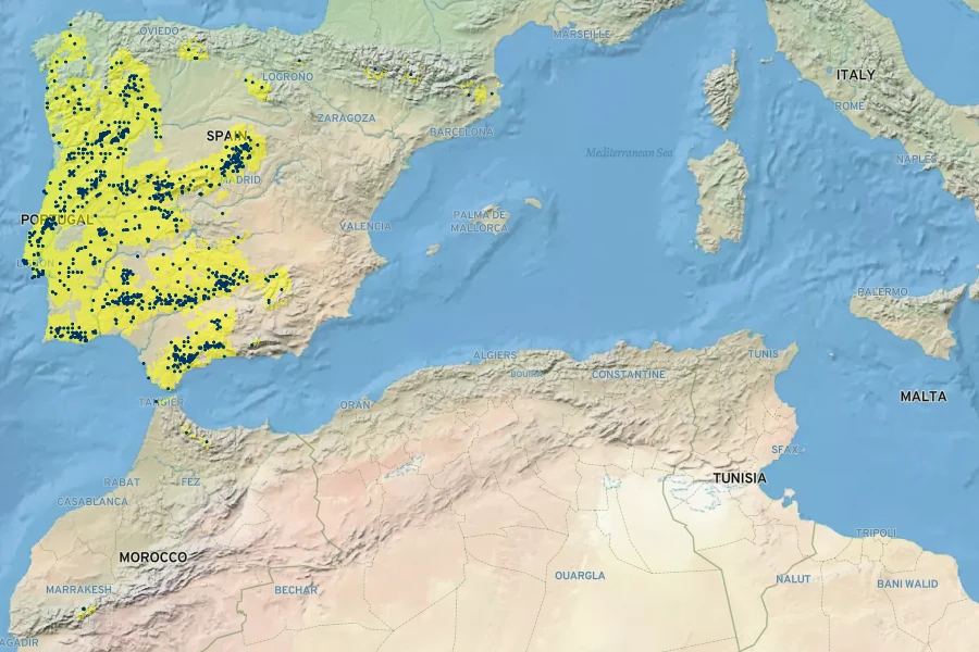 Hyacinthoides hispanica Native Range