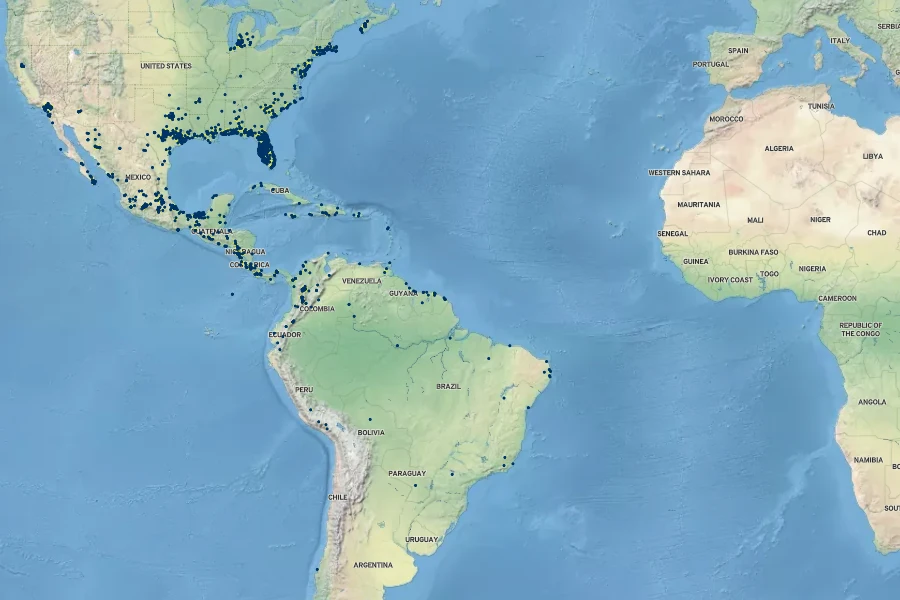 Hydrocotyle umbellata Native Range