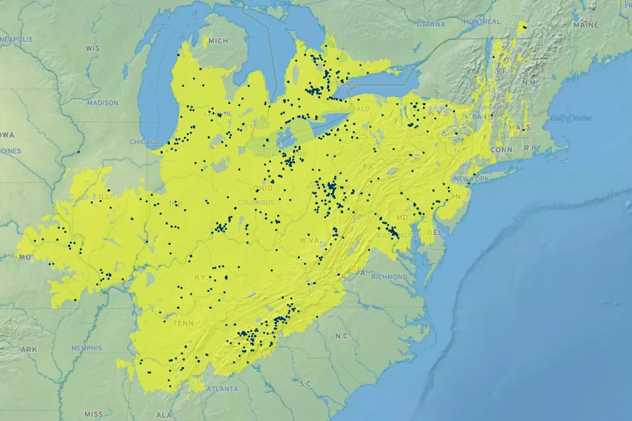 Hydrophyllum canadense Native Range