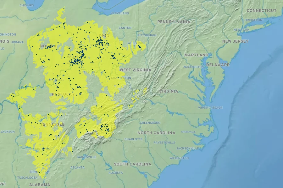 Hydrophyllum macrophyllum Native Range