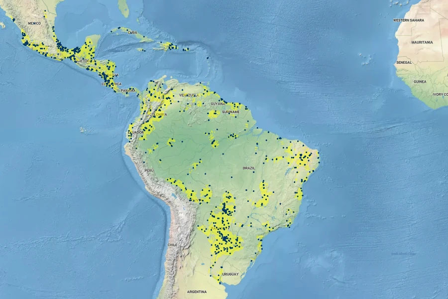 Hymenachne amplexicaulis Native Range