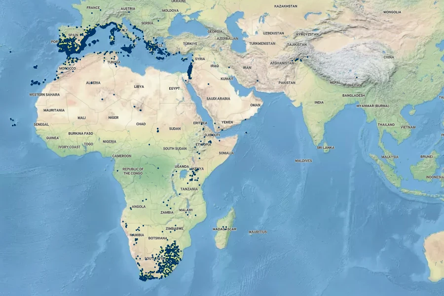 Hyparrhenia hirta Native Range