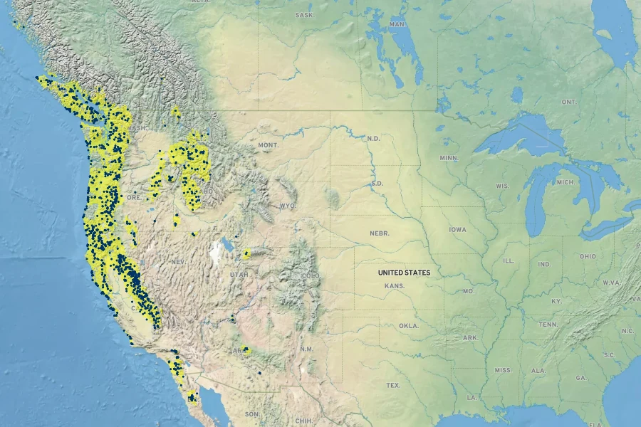 Hypericum anagalloides Native Range