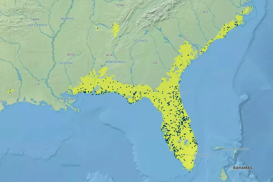 Hypericum cistifolium Native Range
