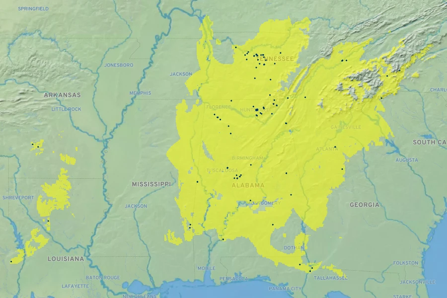 Hypericum frondosum Native Range