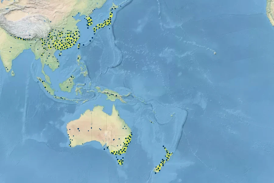 Hypericum japonicum Native Range