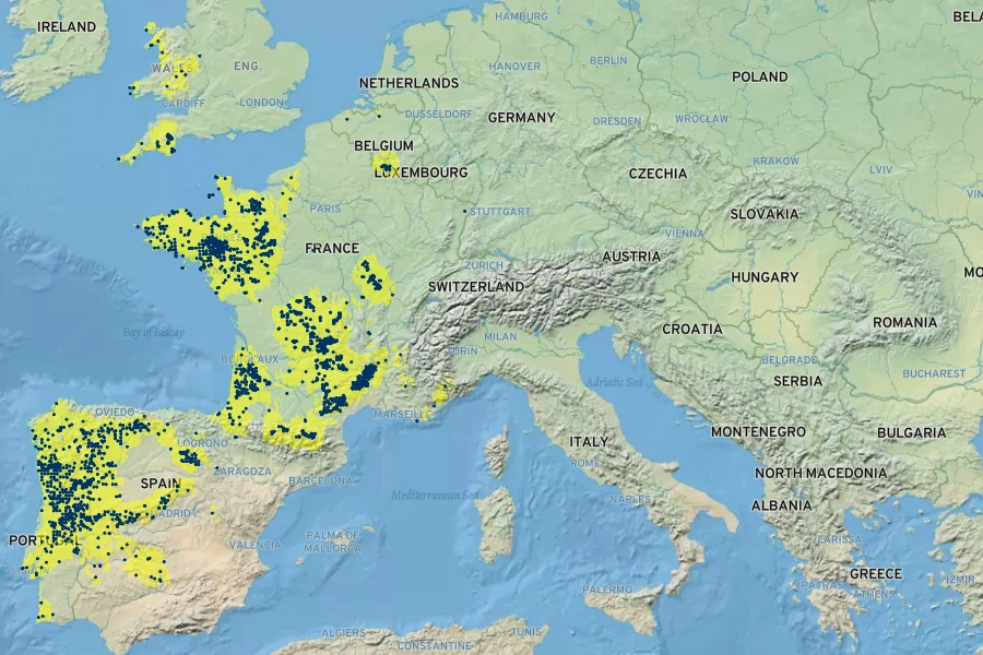 Hypericum linariifolium Native Range