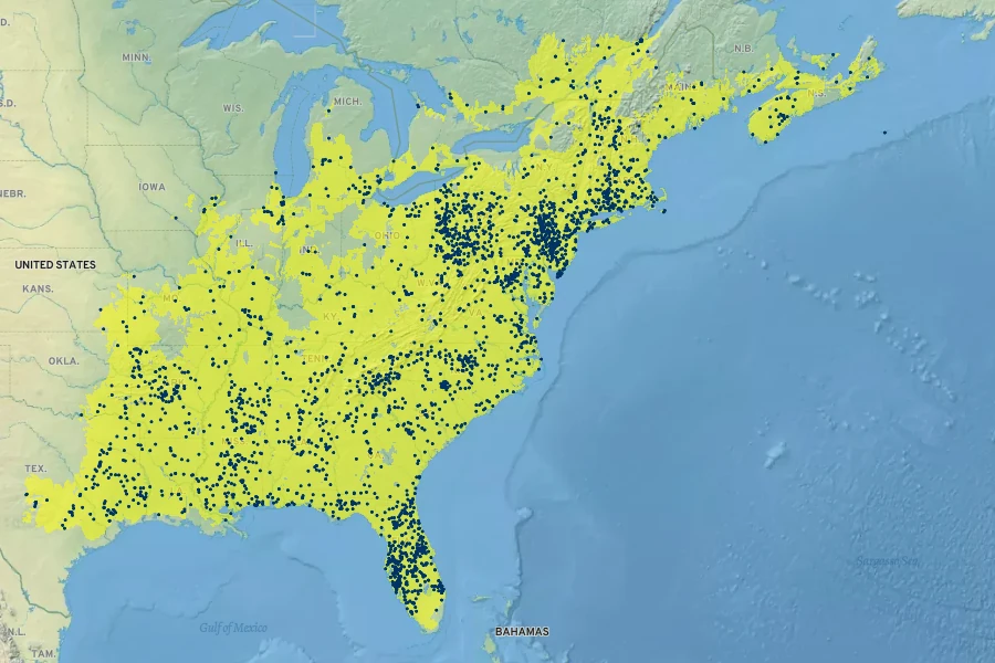 Hypericum mutilum Native Range