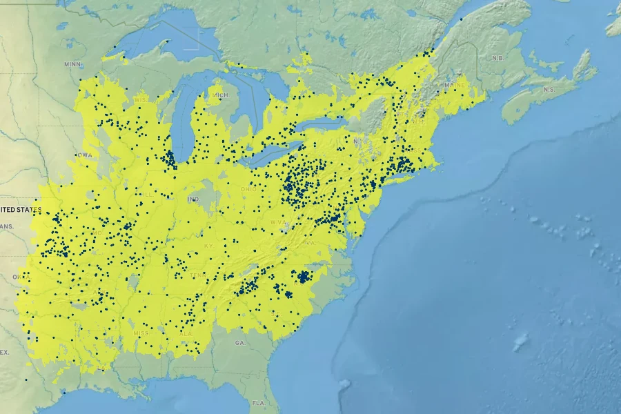 Hypericum punctatum Native Range