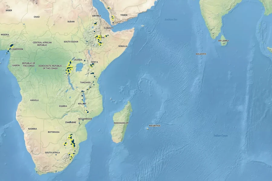 Hypericum revolutum Native Range