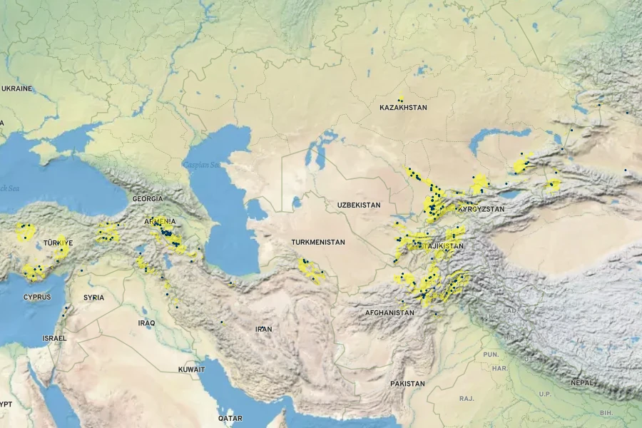 Hypericum scabrum Native Range