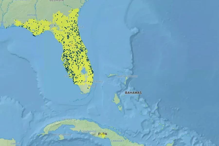 Hypericum tetrapetalum Native Range