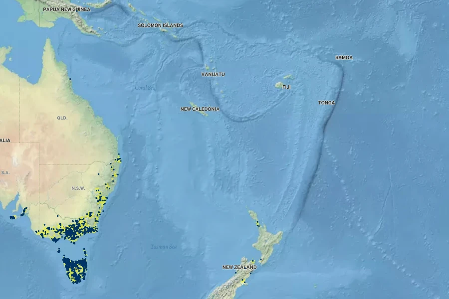 Hypolepis rugosula Native Range