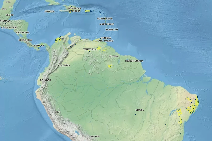 Ibatia maritima Native Range