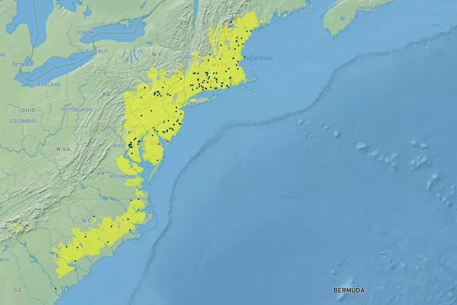 Ilex laevigata Native Range
