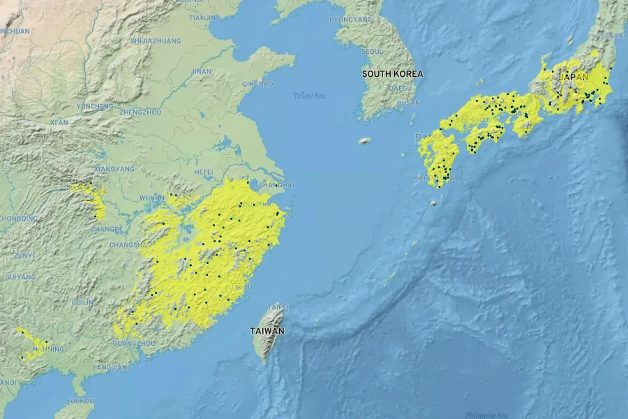 Ilex latifolia Native Range