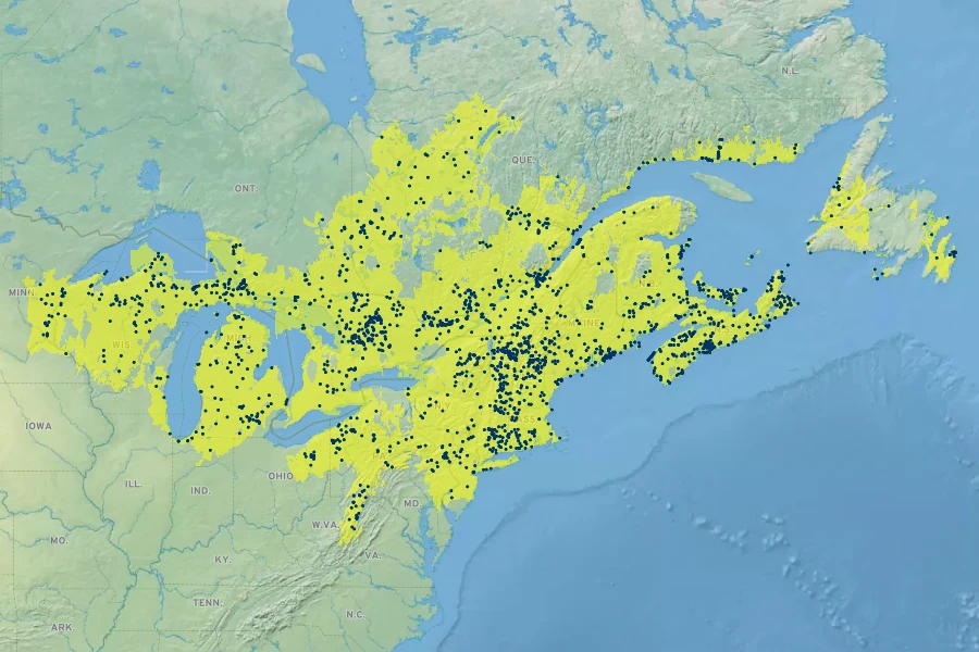 Ilex mucronata Native Range