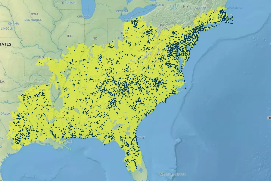 Ilex opaca Native Range