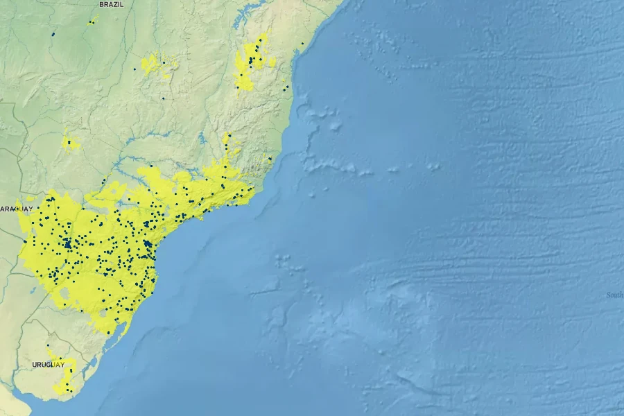 Ilex paraguariensis Native Range