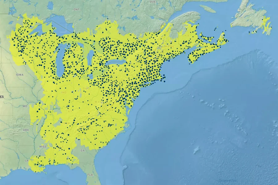 Ilex verticillata Native Range