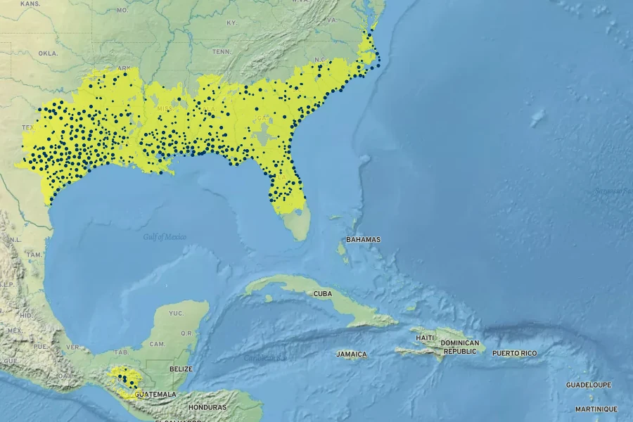 Ilex vomitoria Native Range