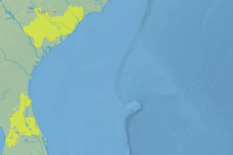 Ilex ×attenuata Native Range
