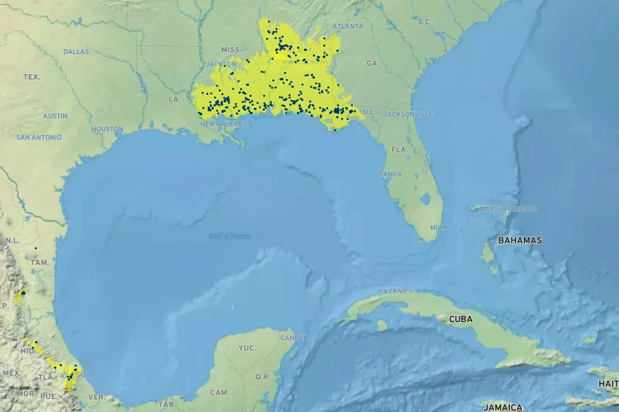 Illicium floridanum Native Range