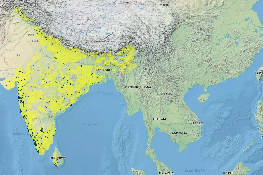 Impatiens balsamina Native Range