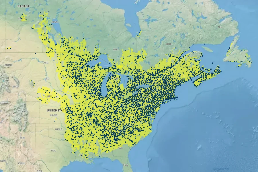 Impatiens capensis Native Range