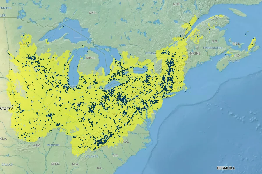 Impatiens pallida Native Range