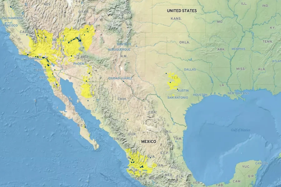 Imperata brevifolia Native Range