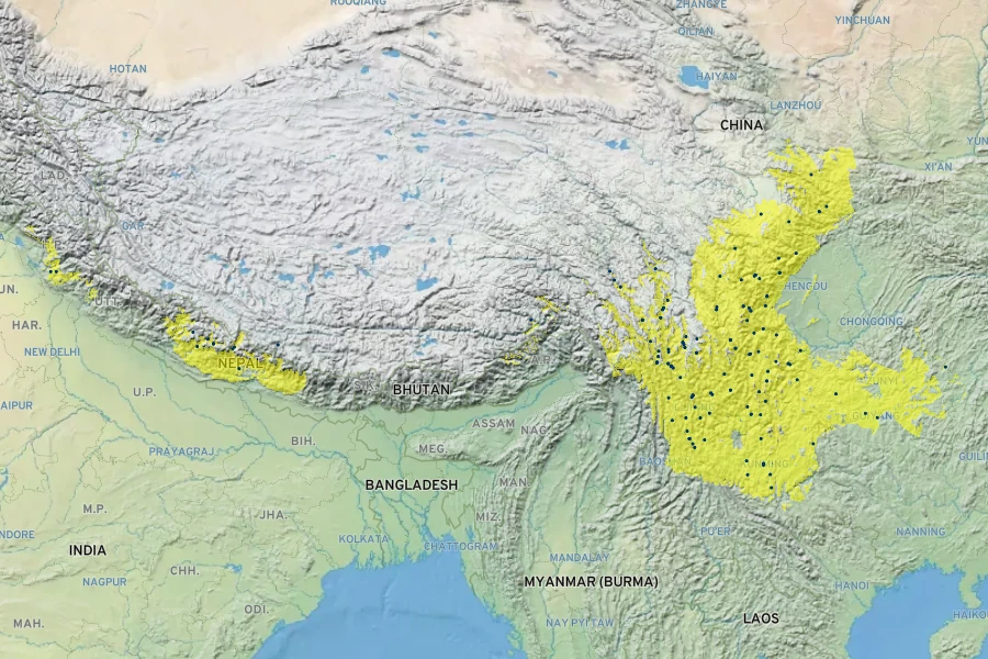 Incarvillea diffusa Native Range