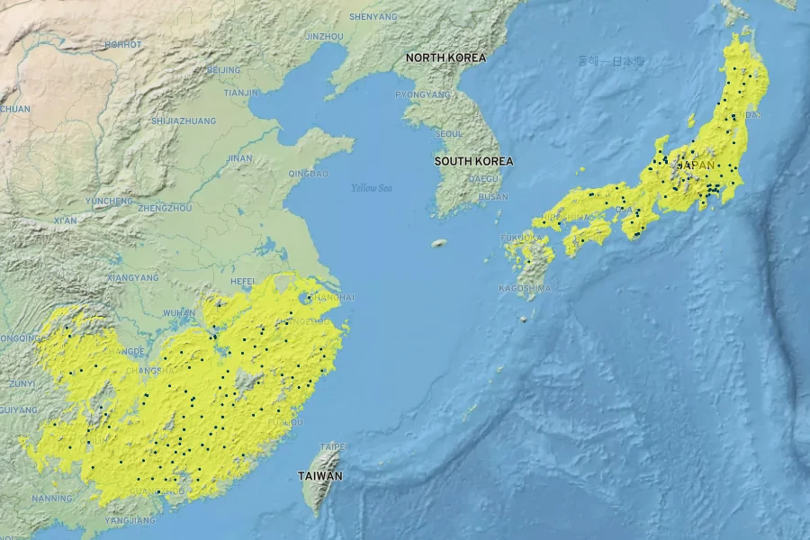Indigofera decora Native Range