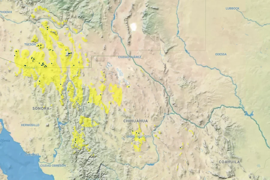Indigofera sphaerocarpa Native Range
