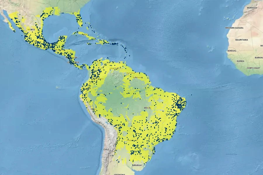 Indigofera suffruticosa Native Range