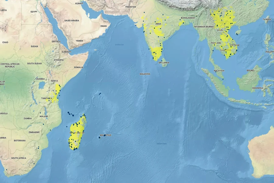 Indigofera tinctoria Native Range