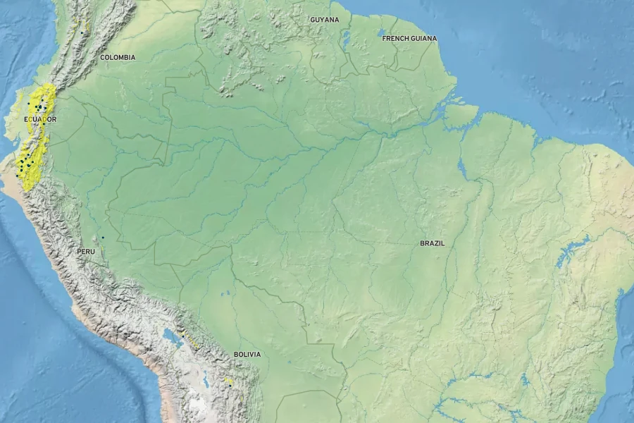 Iochroma cyaneum Native Range