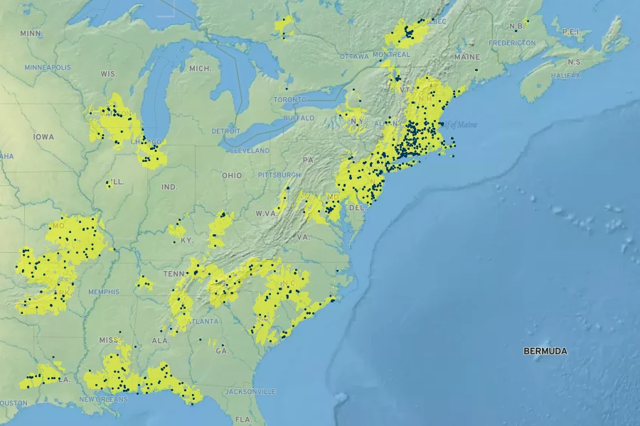 Ionactis linariifolia Native Range
