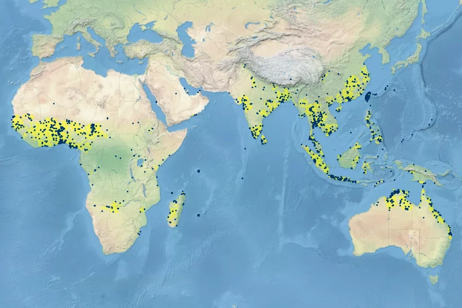 Ipomoea aquatica Native Range