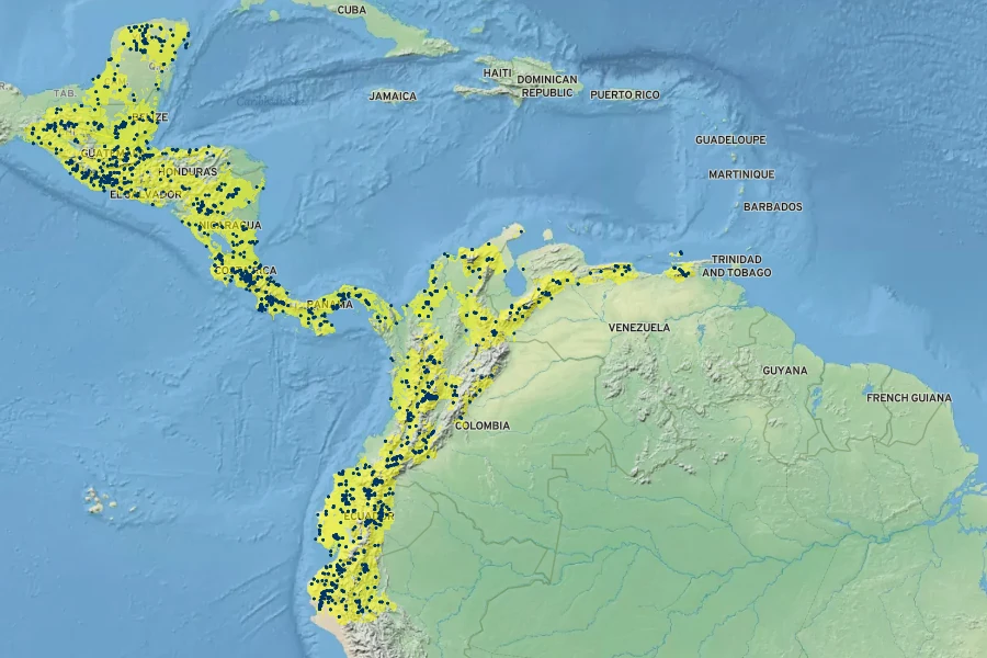 Ipomoea batatas Native Range