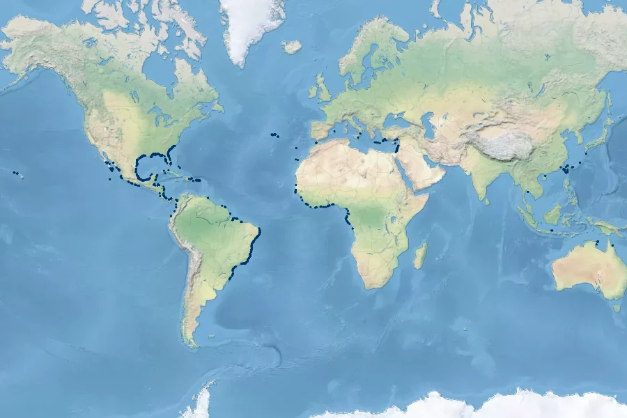 Ipomoea imperati Native Range