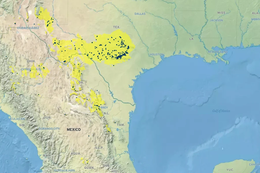 Ipomoea lindheimeri Native Range