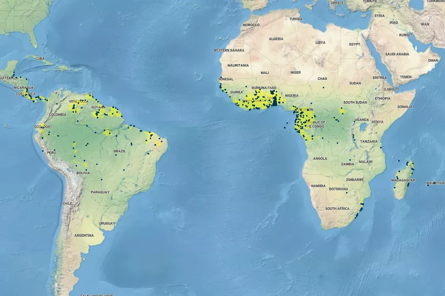 Ipomoea mauritiana Native Range