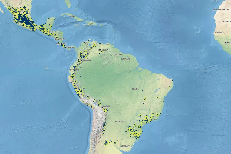 Ipomoea purpurea Native Range