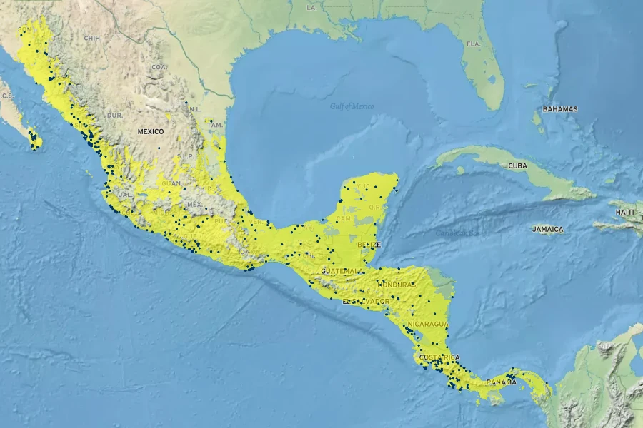 Ipomoea quamoclit Native Range