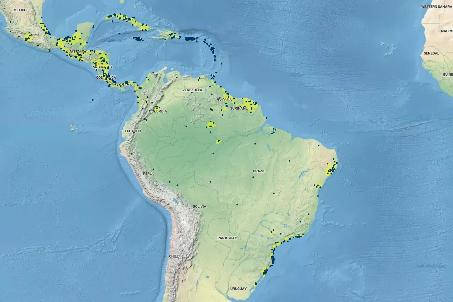 Ipomoea tiliacea Native Range