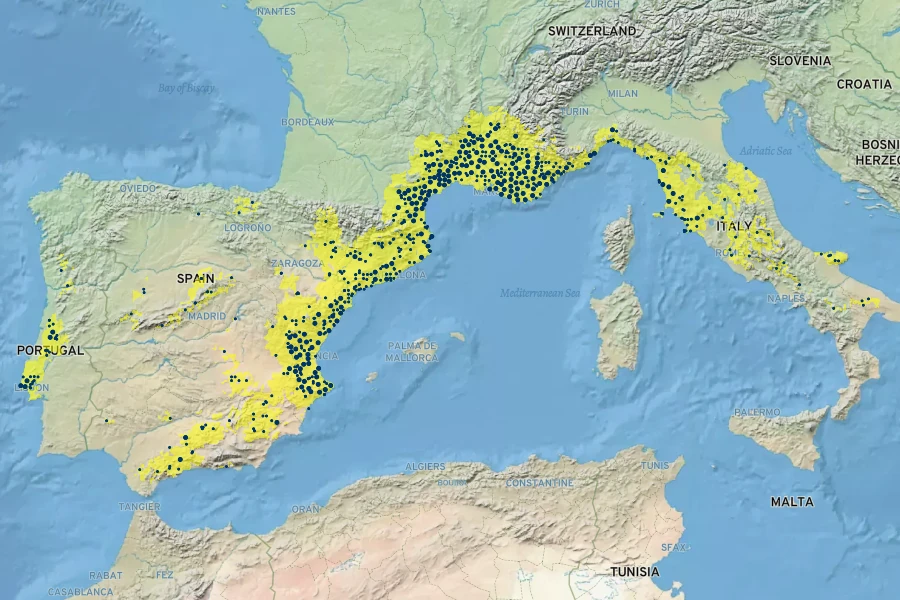 Iris lutescens Native Range