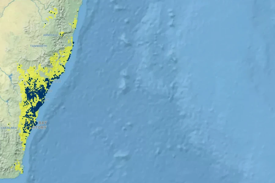 Isopogon anemonifolius Native Range