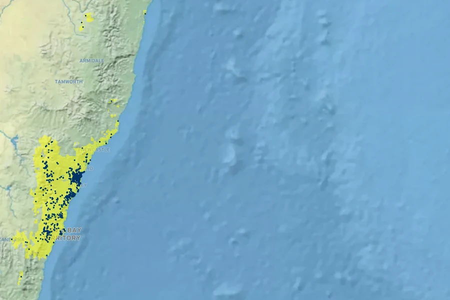 Isopogon anethifolius Native Range